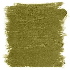 NYX Retractable Eye Liner, 0.34gm - 16 Golden Olive